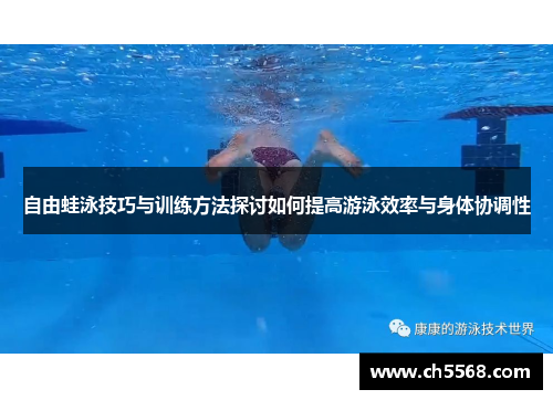 自由蛙泳技巧与训练方法探讨如何提高游泳效率与身体协调性